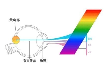 程序员作为职业病高发人群，这几点要预防好！