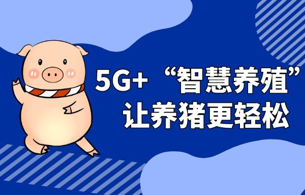 5G＋“智慧养殖”，让养猪更轻松