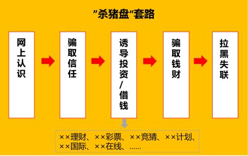 杀猪盘走向?国?际，诈骗团伙借助翻译软件扮演“高富帅”专骗外国女性！