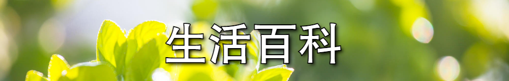 濒危物种铠兰在高黎贡山腾冲段竞相开放