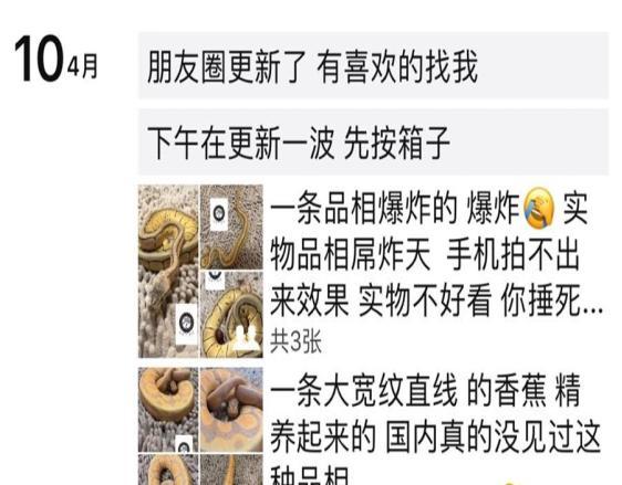 微信封号标准已确认，这5种行为将会永久封号，不少用户已中招