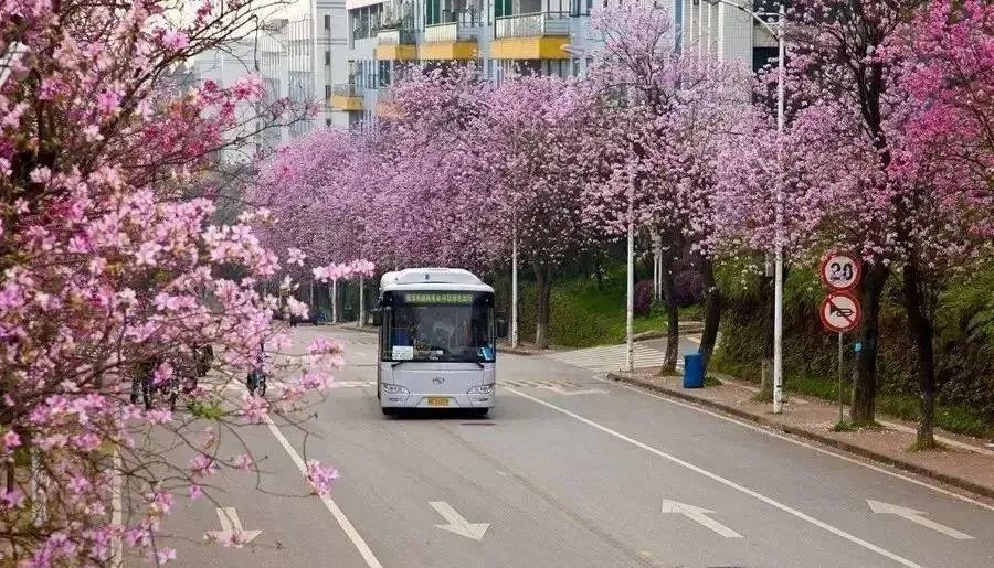 太难了！选择在广东上大学，现在超后悔……