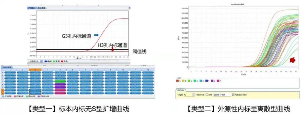 小曲线大学问-新冠核酸异常扩增曲线知多少？