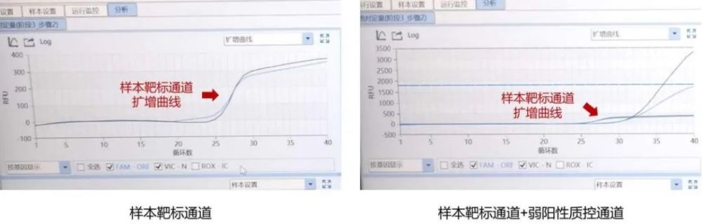 小曲线大学问-新冠核酸异常扩增曲线知多少？