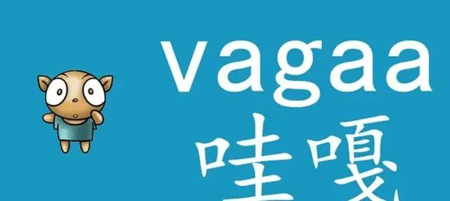 回忆杀，有谁还记得哇嘎 vagaa 这个软件？