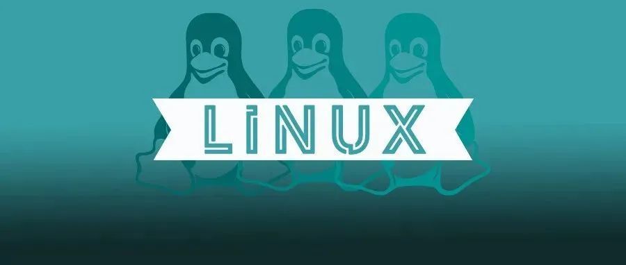 Linux 中的软件安装进度条怎么搞？