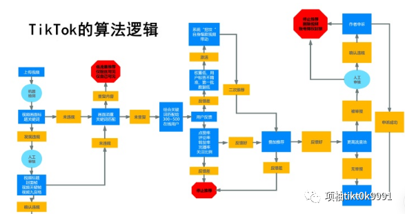 2022海外版Tiktok新手入门，最全的变现指南来咯