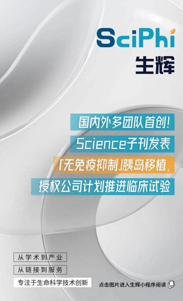 华人CG专家归国创业，自研国内首个全流程3D内容生成软件，效率提升3倍｜专访泽森科工