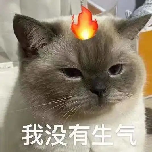 为女性发声，饭店标语文案火了！