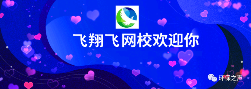 生态、声环评专章编写＋软件实操网络课与2023年飞翔飞环评工程师考前培训班