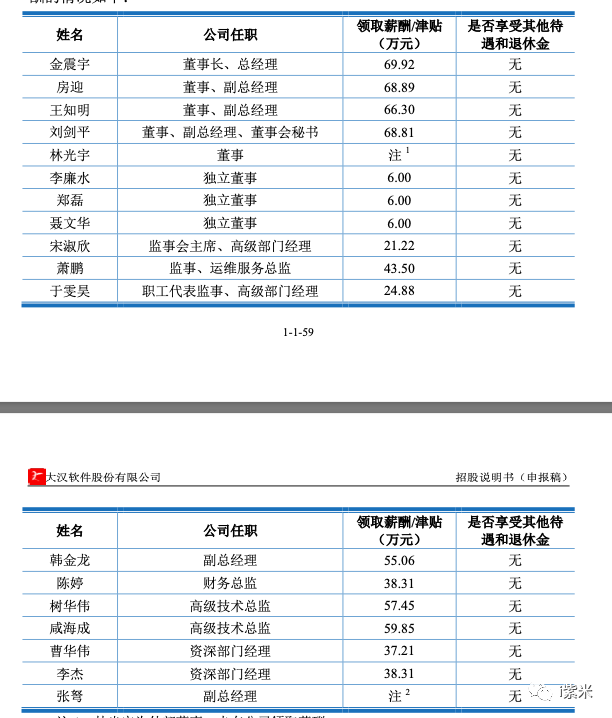 大汉软件IPO已受理 董事长金震宇2021年薪酬69.92万