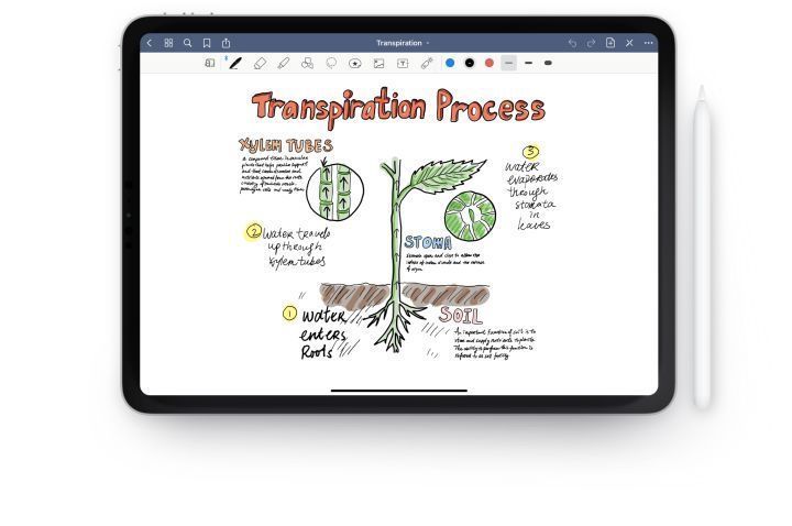 PDF阅读软件综合评测PDF Expert、MarginNote、Notability Zotero