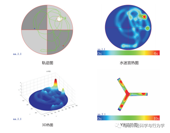 VisuTrack｜一款大家都在用的动物行为分析软件