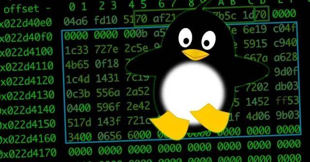 新的 Linux 恶意软件框架允许攻击者在目标系统上安装 Rootkit