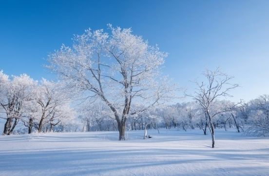 上证50etf期权用什么软件交易？期权软件怎么看真实性？