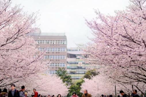 软件工程专业领域：位于上海的同济大学和西南的四川大学谁会胜出