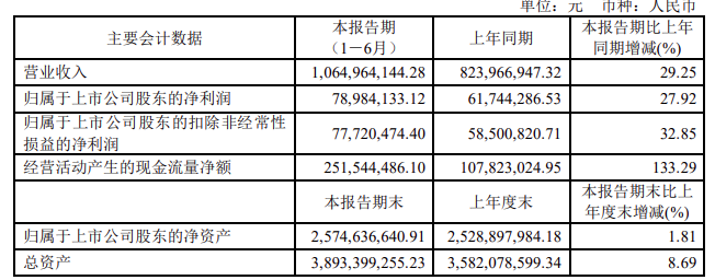 两大电网公司旗下上市公司上半年业绩情况