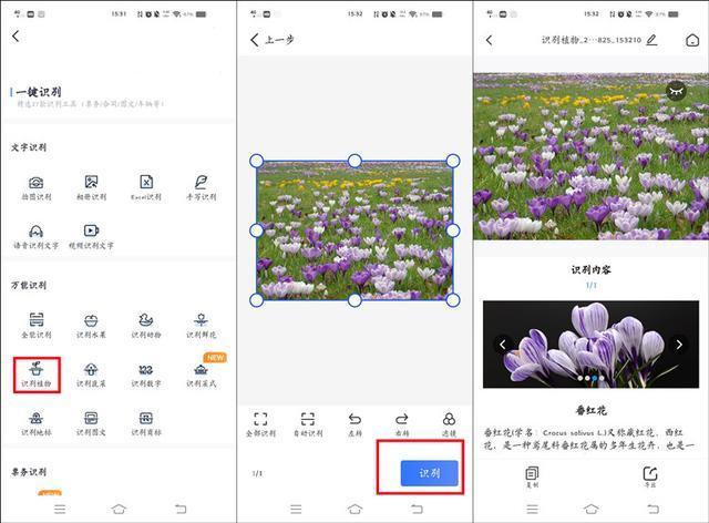 如何扫一扫识别花草？跟我一起学习识别花草的方法