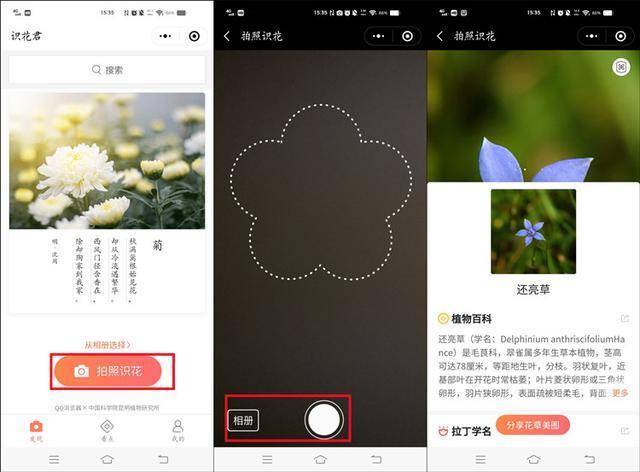 如何扫一扫识别花草？跟我一起学习识别花草的方法