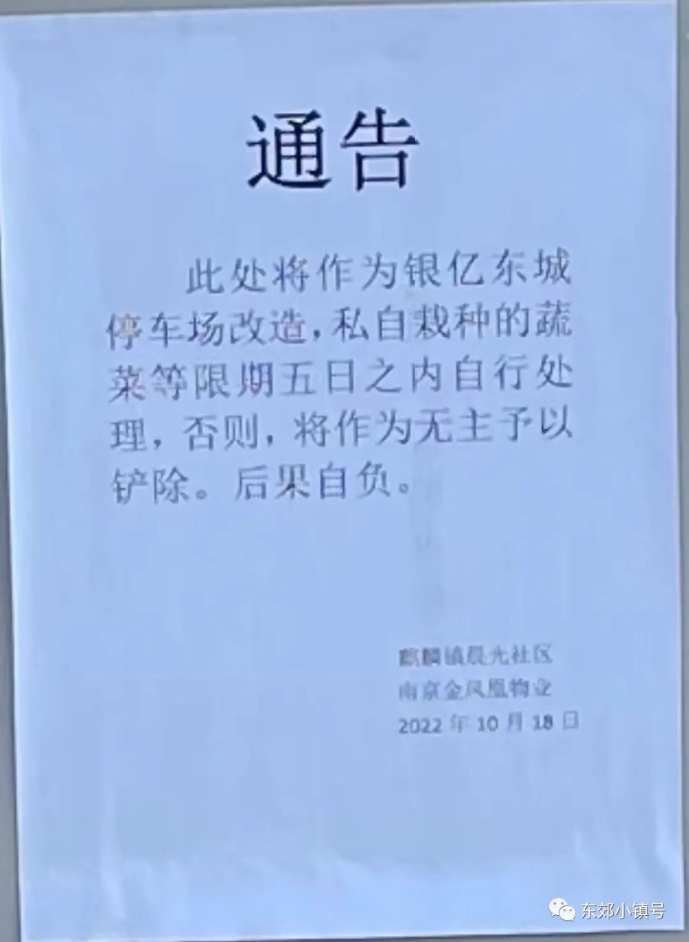 10月26日小镇日报：破碎玻璃；洋房出售；经十一路不方便；七街区乌烟瘴气；流浪狗乱窜；停车场改造；电梯为啥坏；软件大道拼车群