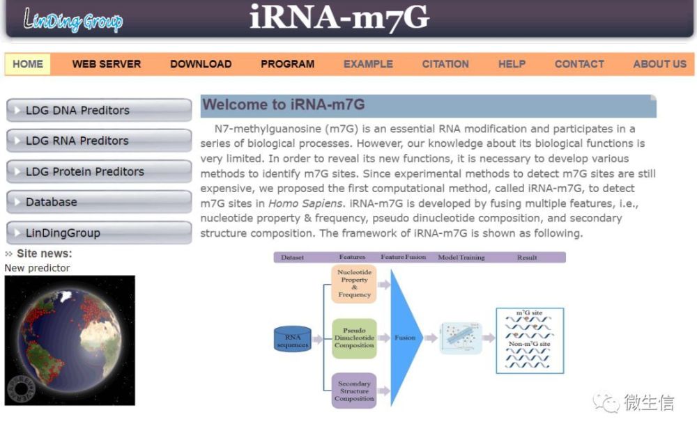 利用m7Ghub数据库查询并使用iRNA-m7G软件预测RNA m7G修饰位点