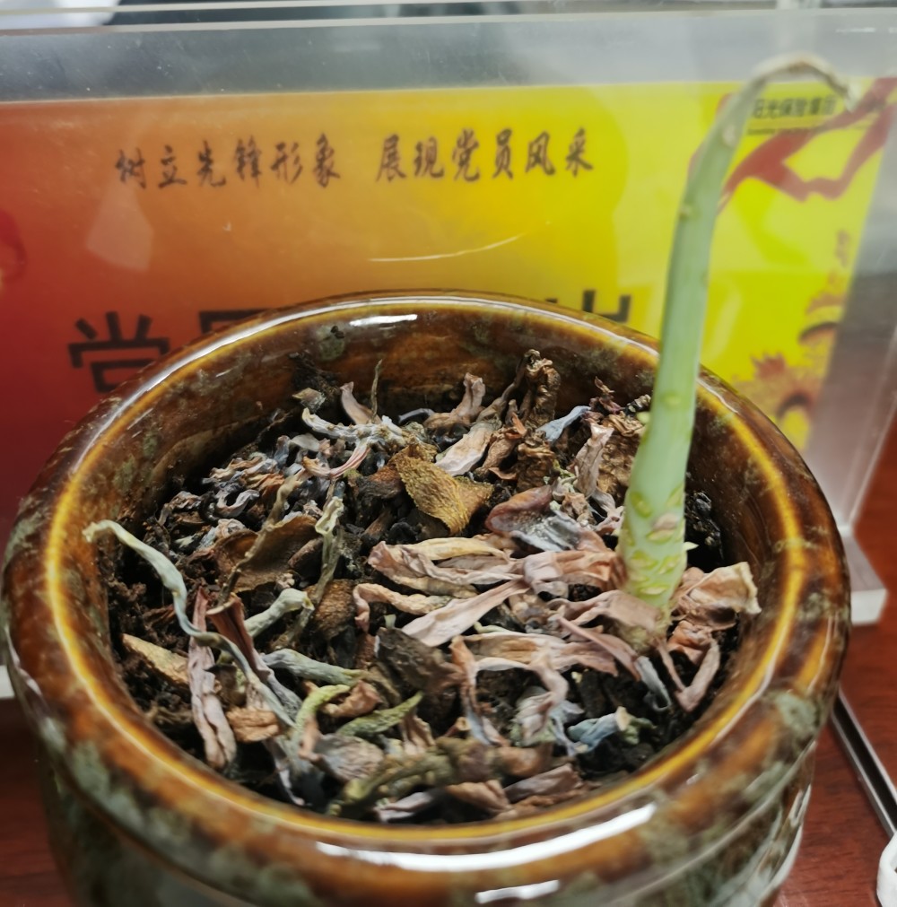 我们职场的那些伙伴们