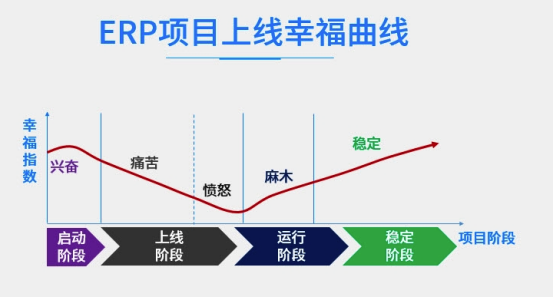 制造业ERP管理软件上线流程