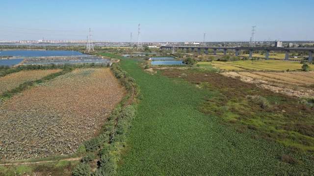 无人机空中助力长江流域河道环境治理，无人机环保行业应用未来