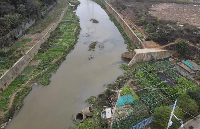 无人机空中助力长江流域河道环境治理，无人机环保行业应用未来