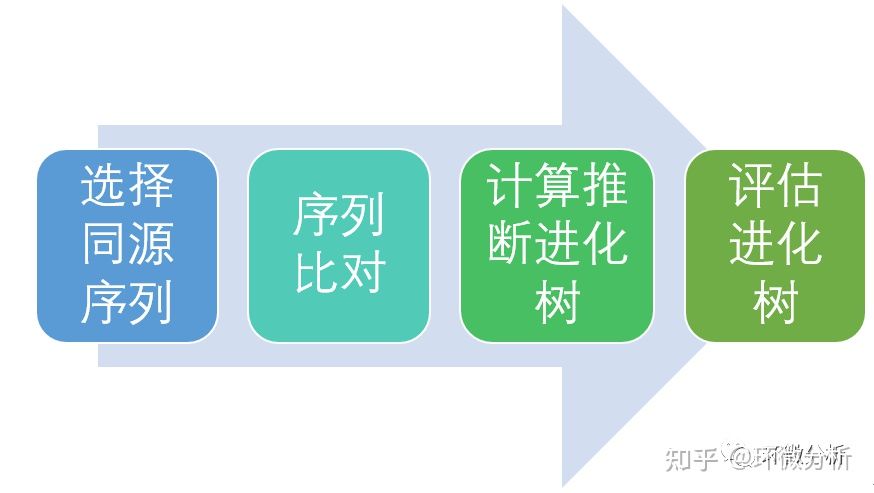 如何使用MEGA软件构建系统发育树_速成实用经验