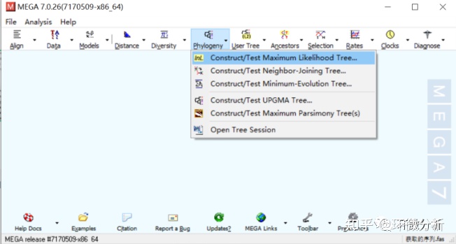 如何使用MEGA软件构建系统发育树_速成实用经验