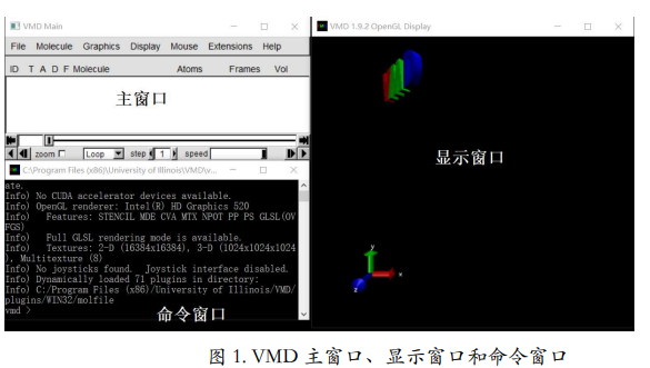 【生物信息学】蛋白质结构预测与可视化方法，VMD的使用入门教程