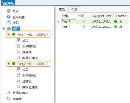 RENIX 软件RAW流发送——网络测试仪实操