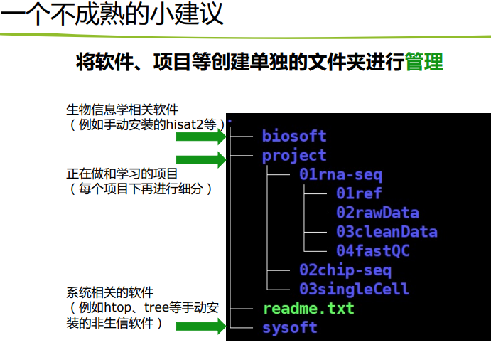 Linux软件安装 conda