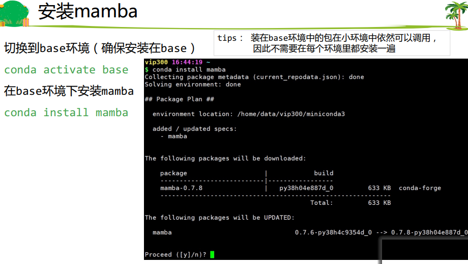 Linux软件安装 conda