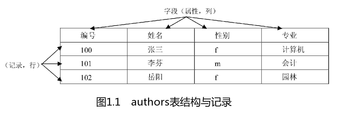 初识MySQL（新手入门）