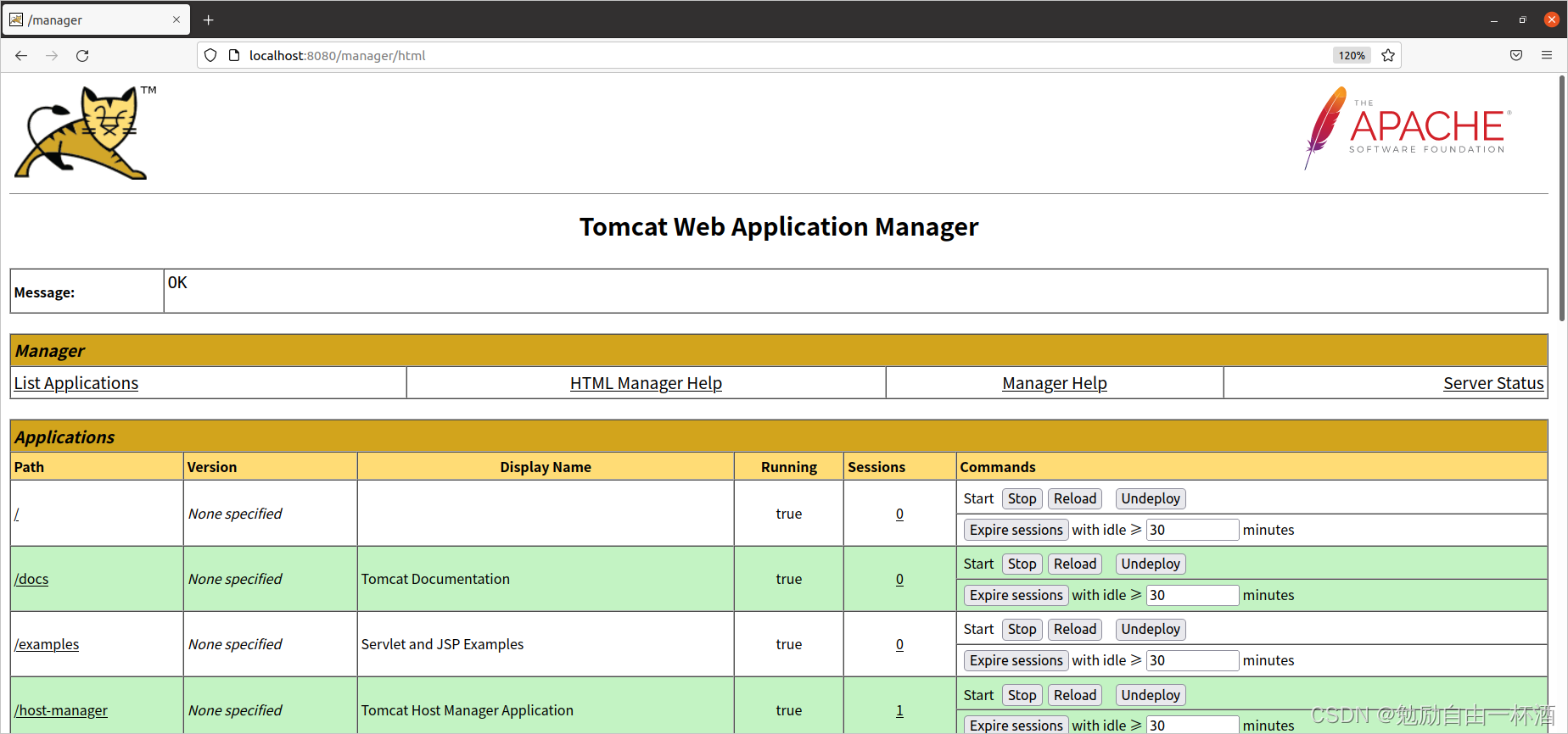 Ubuntu平台apt安装tomcat和IntelliJ IDEA平台配置教程（附：主目录和基目录的区别 CATALINA_HOME vs CATALINA_BASE）