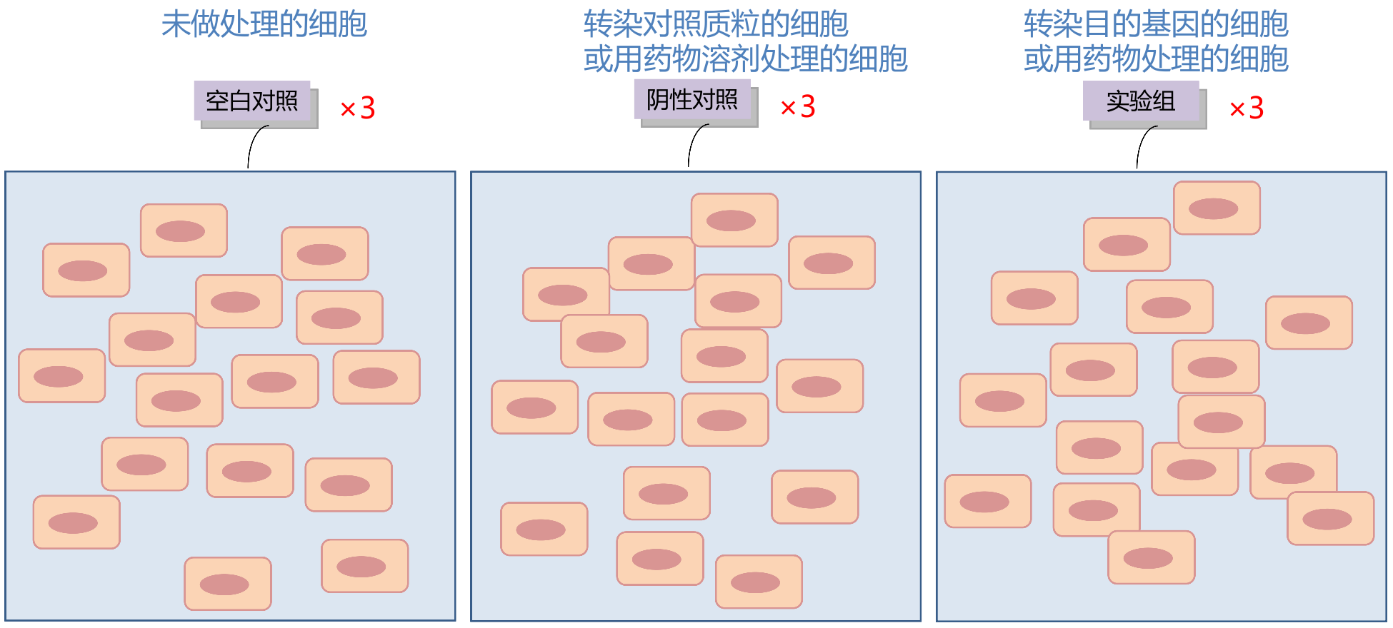 【实验技术笔记】细胞表型检测之细胞增殖（CCK-8法 + BrdU掺入法 + 平板克隆）