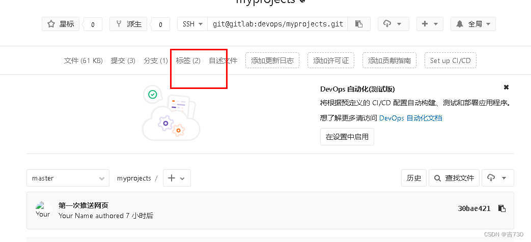 自动化部署CI/CD的搭建 自动化部署项目 （Jenkins服务器搭建）----书写脚本