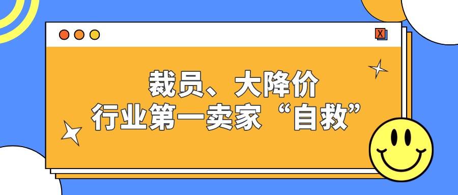 弘辽科技：裁员、大降价，行业第一卖家“自救”