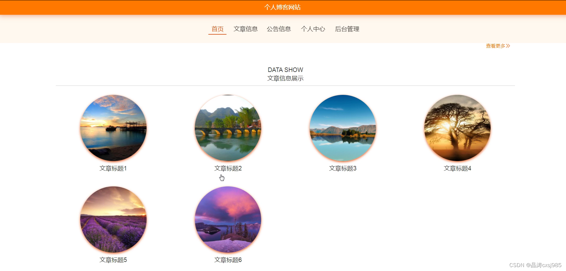 java个人博客网站计算机毕业设计源码+系统+lw文档+mysql+远程部署