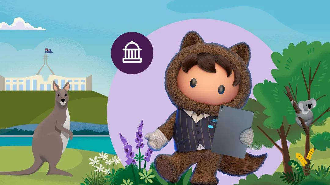 入职Salesforce乙方公司前, 需要了解什么?