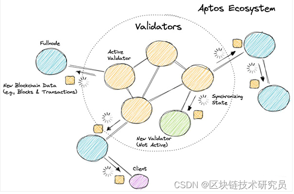 Aptos 深度解读：机遇、挑战与风险