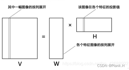 医学分析专业名词解释