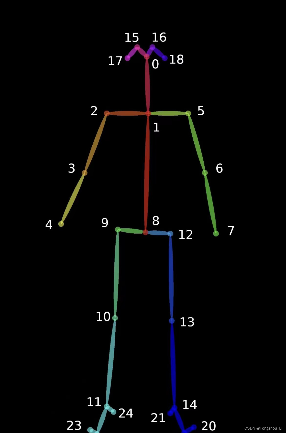 一种基于OpenPose和DNN的跌倒检测软件系统(中文&英文)