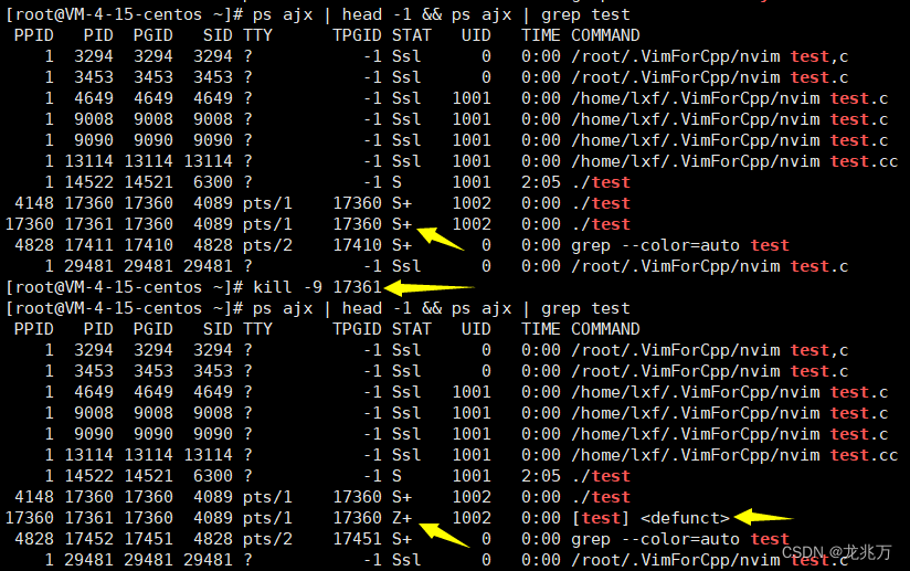 Linux —— 进程概念超详解！