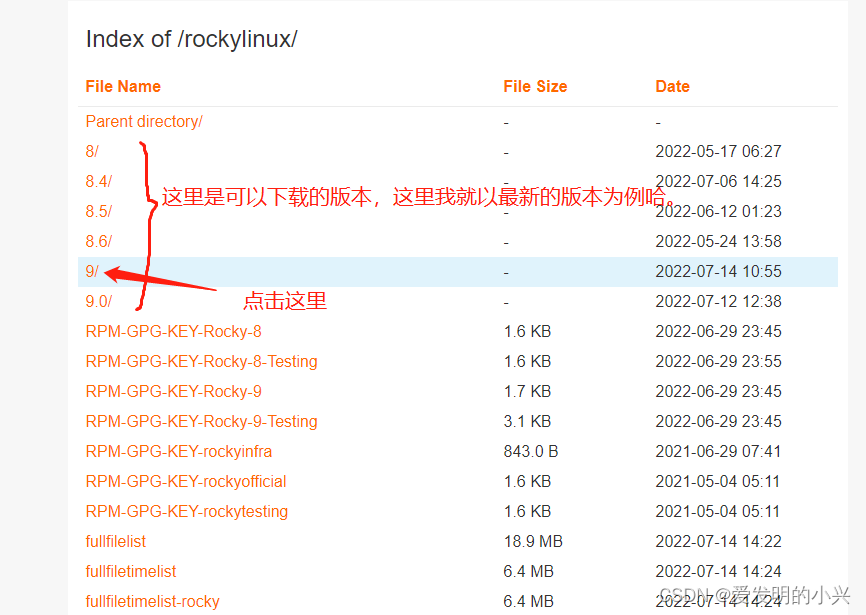 RISCV学习笔记6.4(番外)--RockyLinux的安装与使用