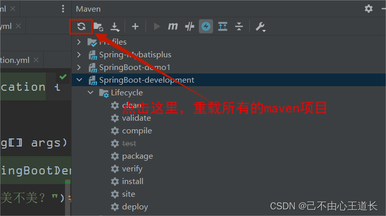 【SpringBoot】一文吃透SpringBoot多环境开发