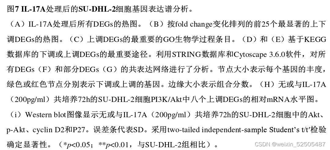 学位论文精读-hBMSCs在肿瘤微环境中分泌IL-6并上调IL-17水平协同促进DLBCL生长的研究