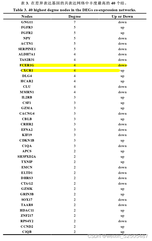 学位论文精读-hBMSCs在肿瘤微环境中分泌IL-6并上调IL-17水平协同促进DLBCL生长的研究